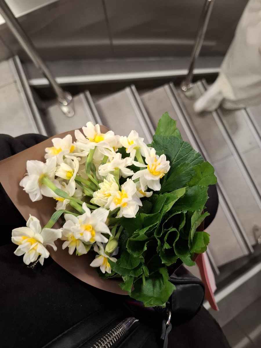 Ezgimss_'s tweet image. Bugün Ankara’nın romantikliği şaka mı? Bir yanda ince ince yağan kar, diğer yanda Kızılay’ın ışıltısı...Seviyorum bu şehri✨️