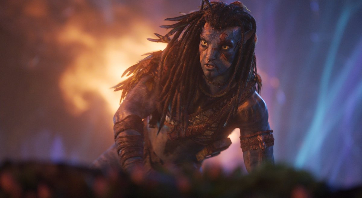 TJ ღ Tanselle Pilled tweet media