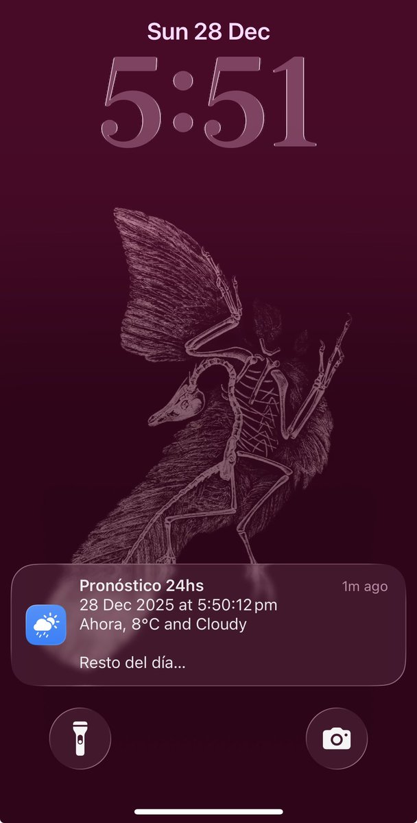 Carlos tweet media