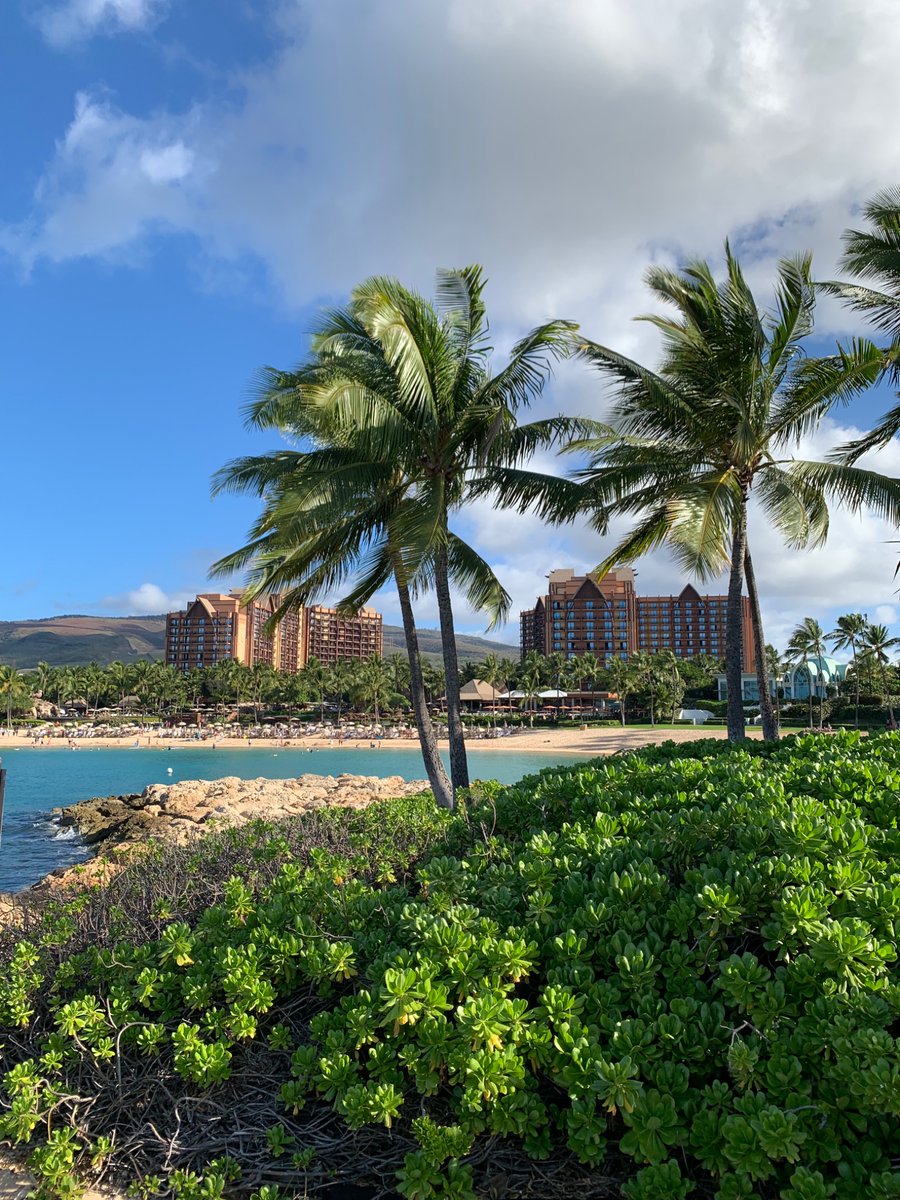 hitorindo's tweet photo. Good morning from Disney Aulani. https://t.co/21o389se8J