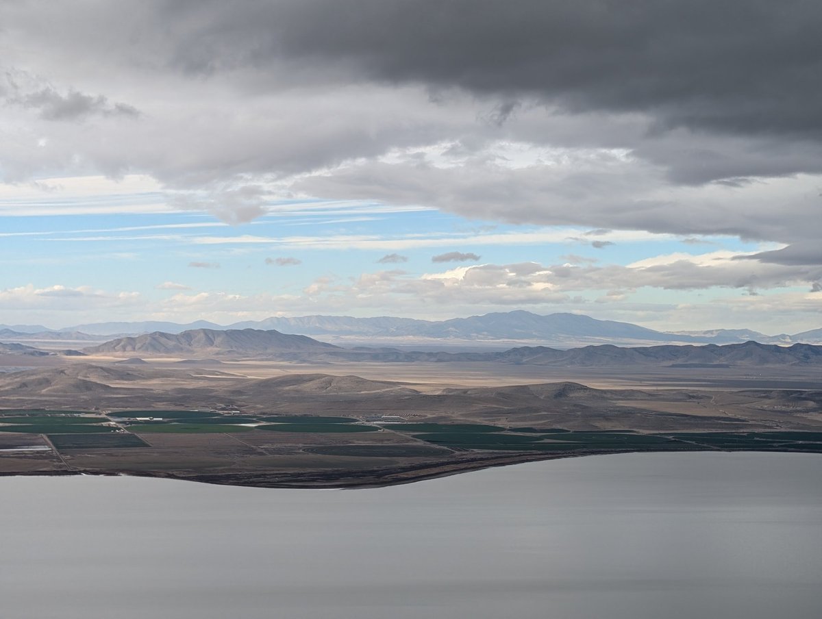 Patrick Walton tweet media