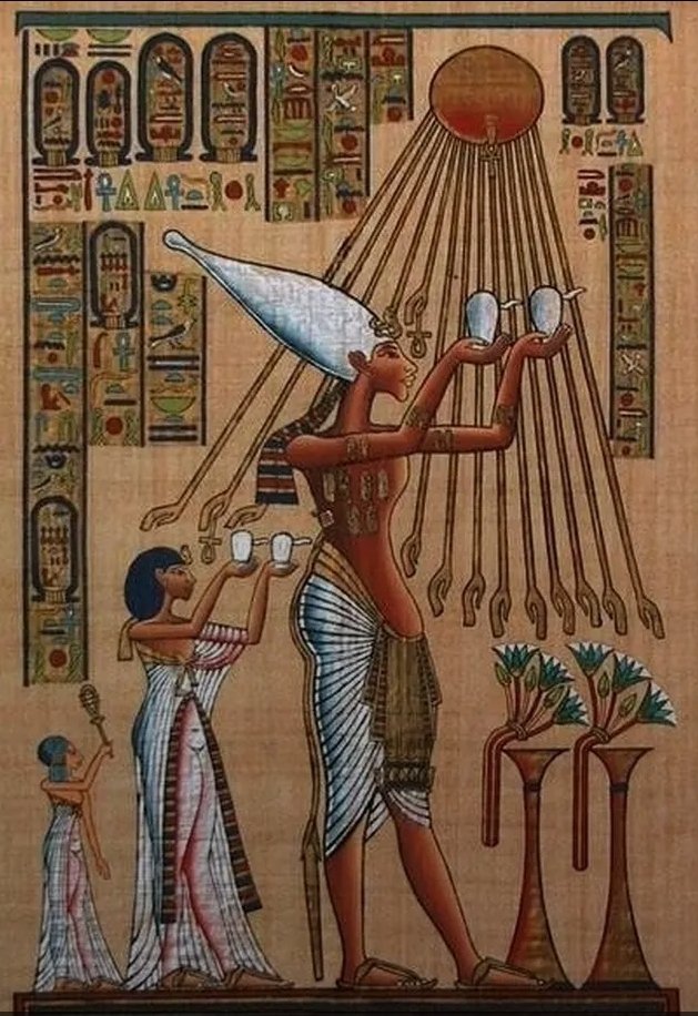 nmc0vy's tweet image. We possess far greater knowledge than you assume