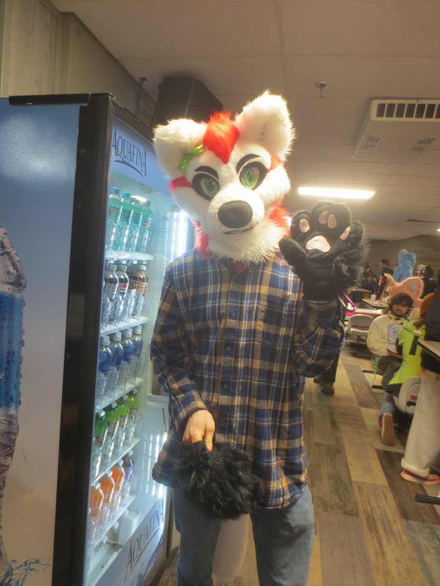 ChiliTheHusky's tweet photo. Some photos from last nights furmeet which was a blast. https://t.co/o4Xgx3bsaT