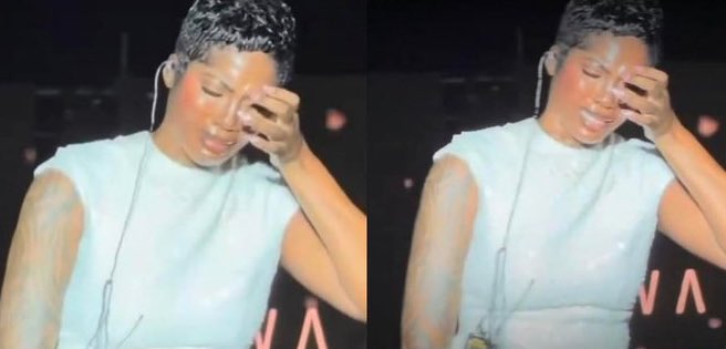 retro_gly's tweet image. Newbies after taking a loss vs those who have already been in the game