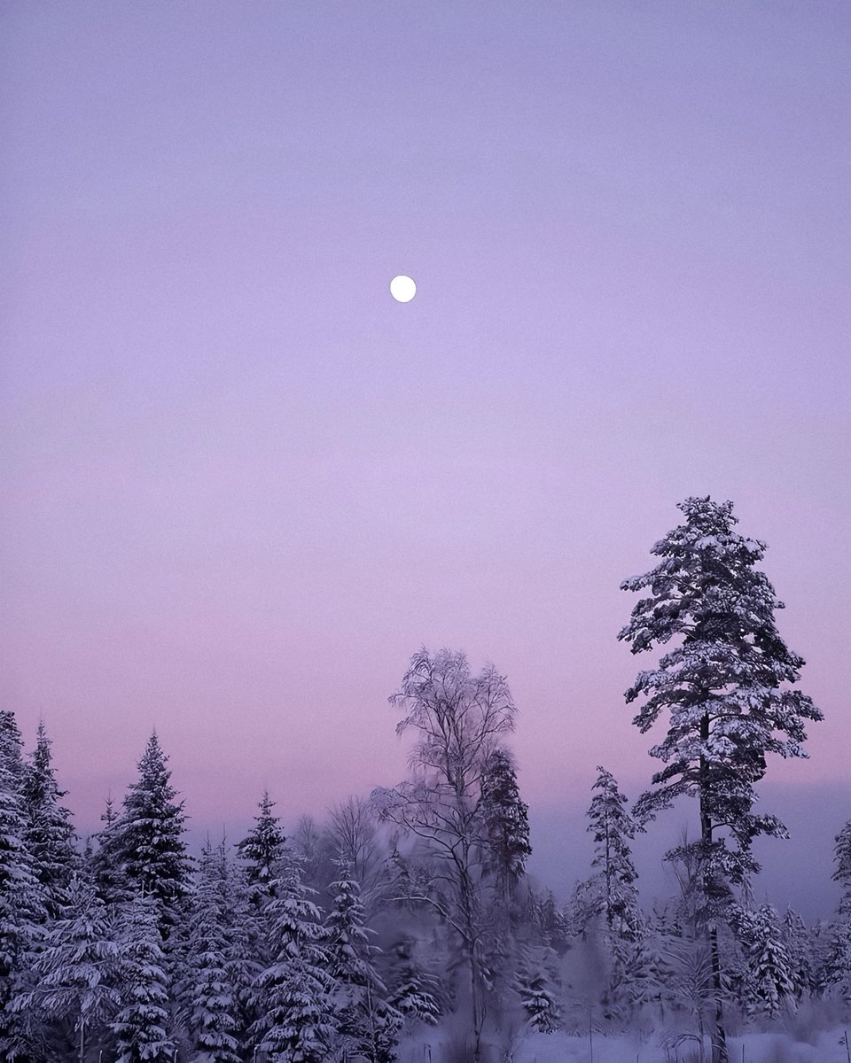 studio ghibli (@gardenofghibli) on Twitter photo 