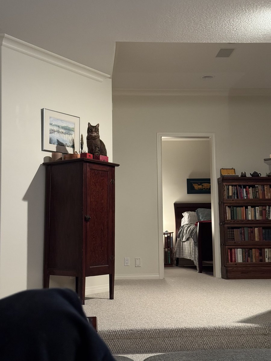 mom of finland tweet media