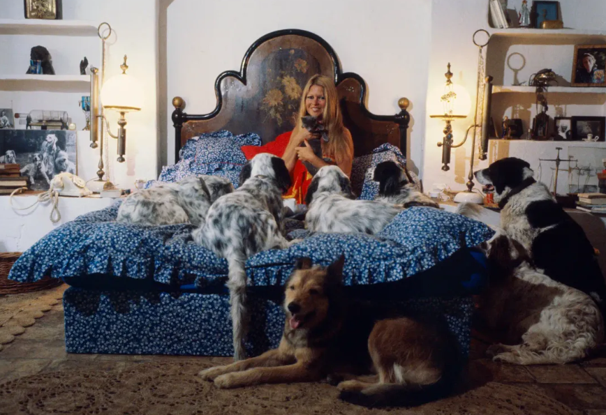 Tangosierra74 tweet media