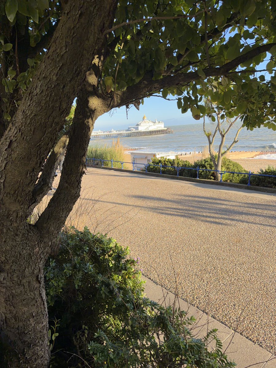 Philip Nolan tweet media