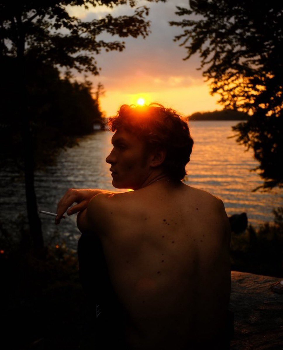 layla ˎˊ˗ tweet media