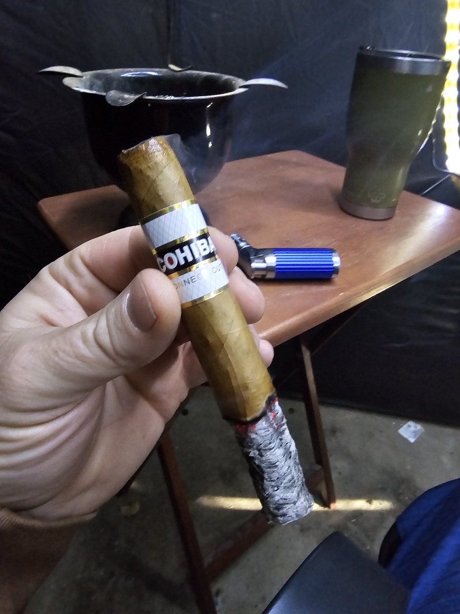 SnoBrawler tweet media