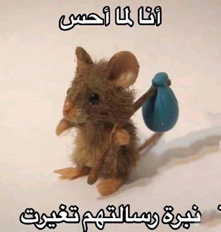 انس ماغيره (@99bd) on Twitter photo 