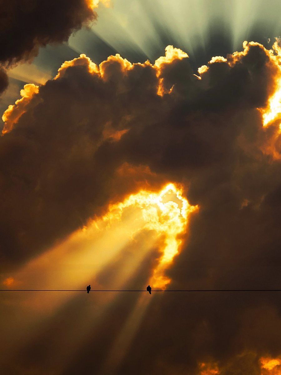 arthextic's tweet image. uncropped version goes even harder