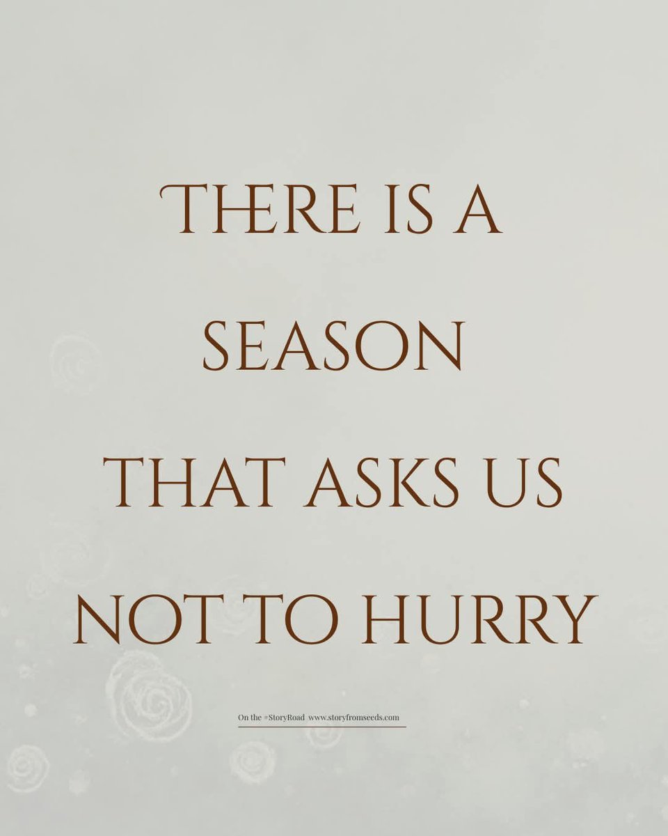 Story Seeds tweet media