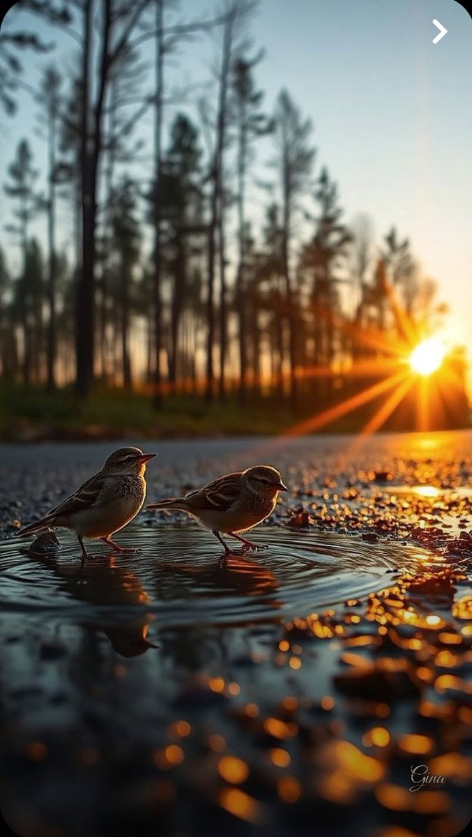 الإنسان كالطير ..
عندما يأمن من يجالسه يغرّد بأجمل الألحان
وإذا فقد الأمان يقتله الصمت.