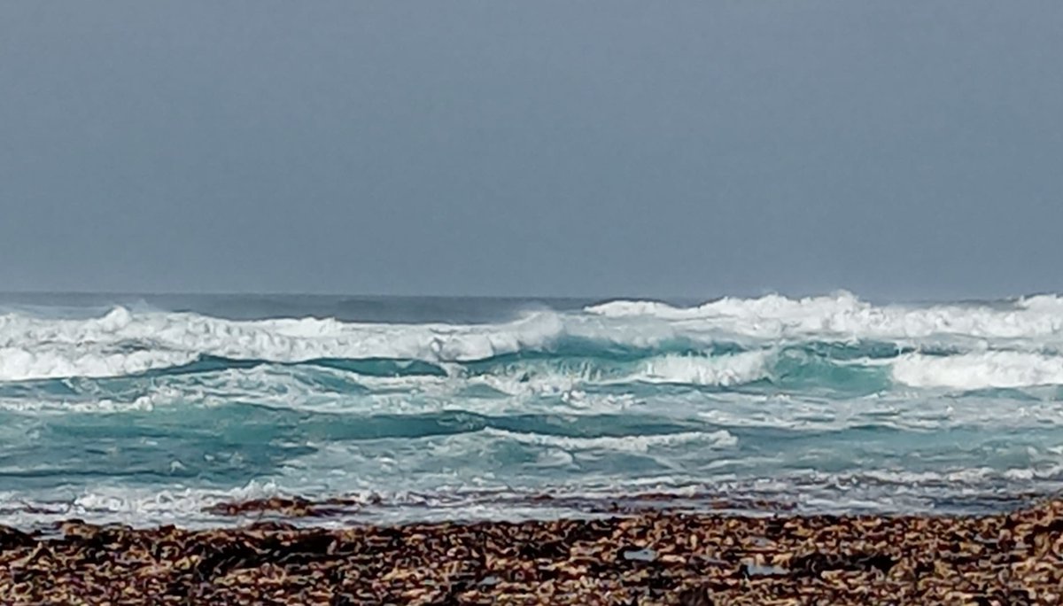 Viv Bennett CBE tweet media