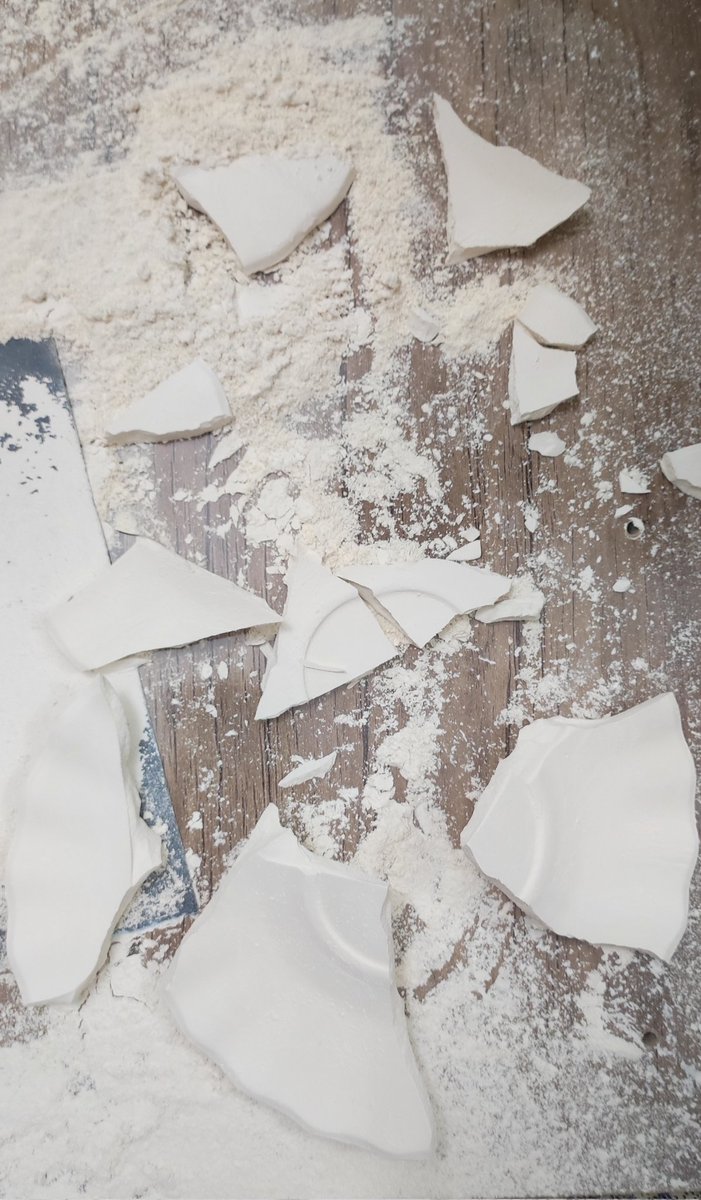 اومدم از کار جدید عکس بگیرم
به دقیقه نکشید از دستم ول شد