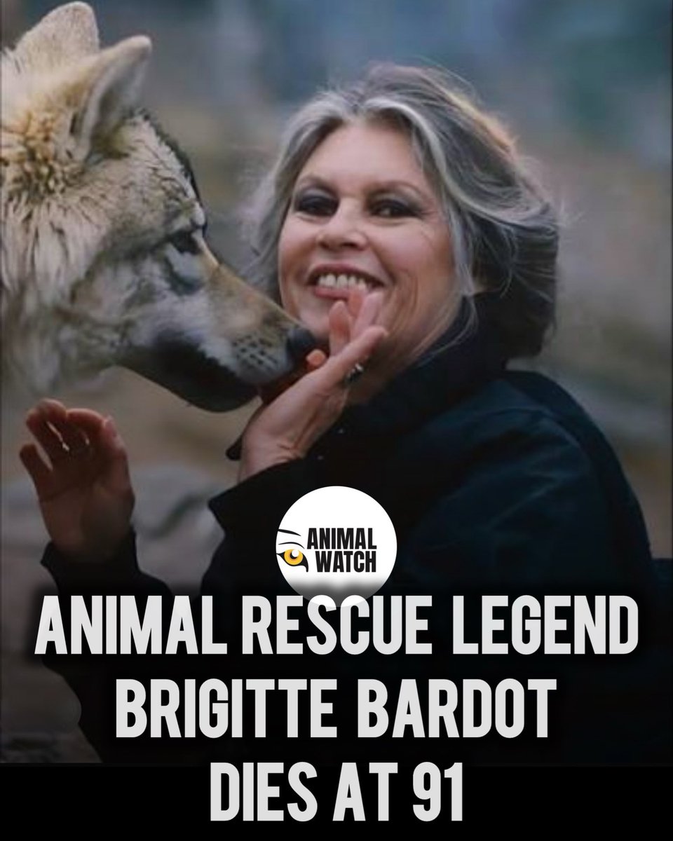 ConcienciaSalva's tweet image. Brigitte Bardot, amante de los animales muere a las 91 años. Gracias por luchar por sus derechos. DEP.