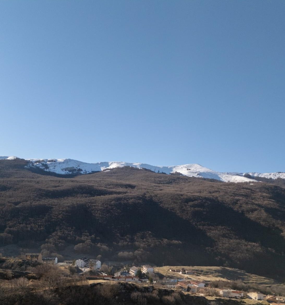 Maria Lea tweet media