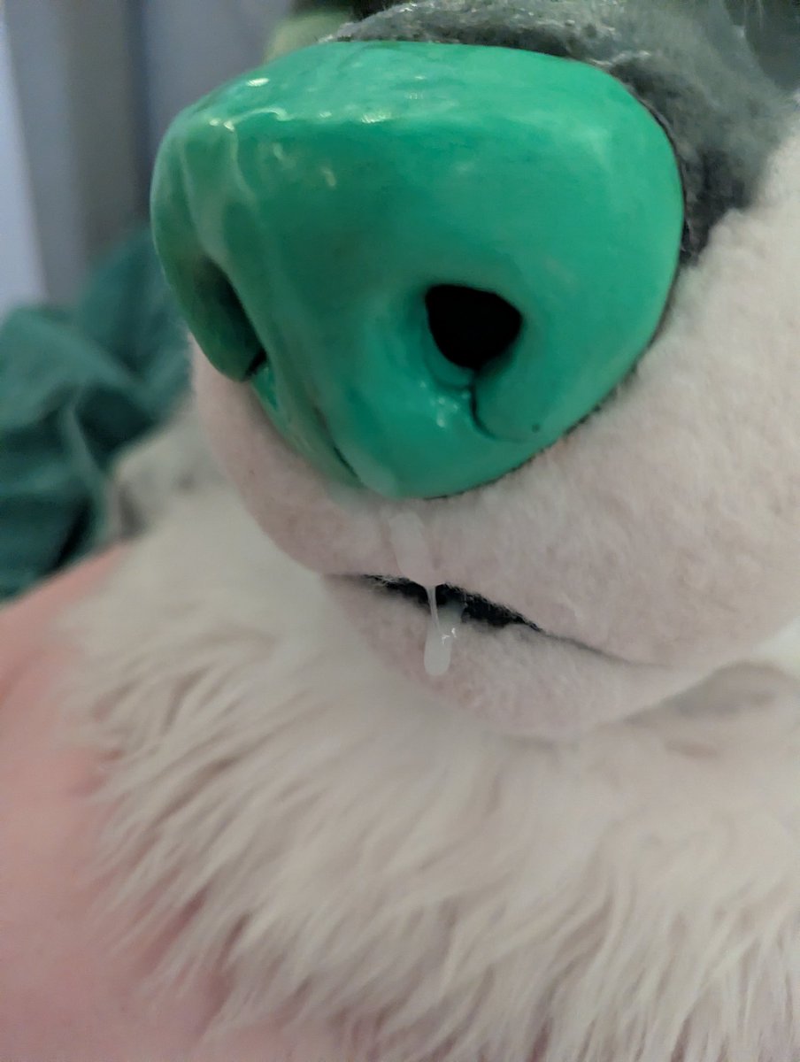 Sulo 💕 LVFC tweet media