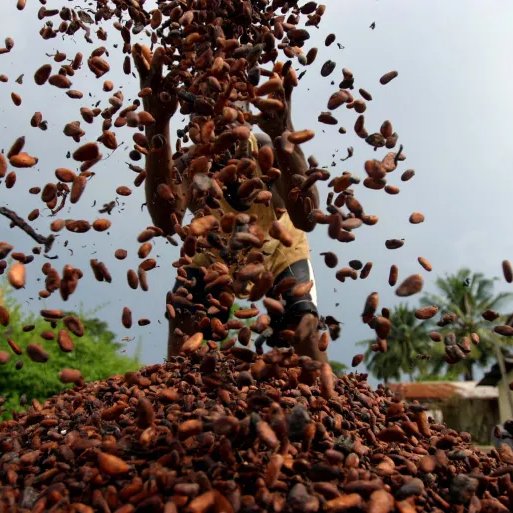 ANDREW ROLAND OBOSU tweet media