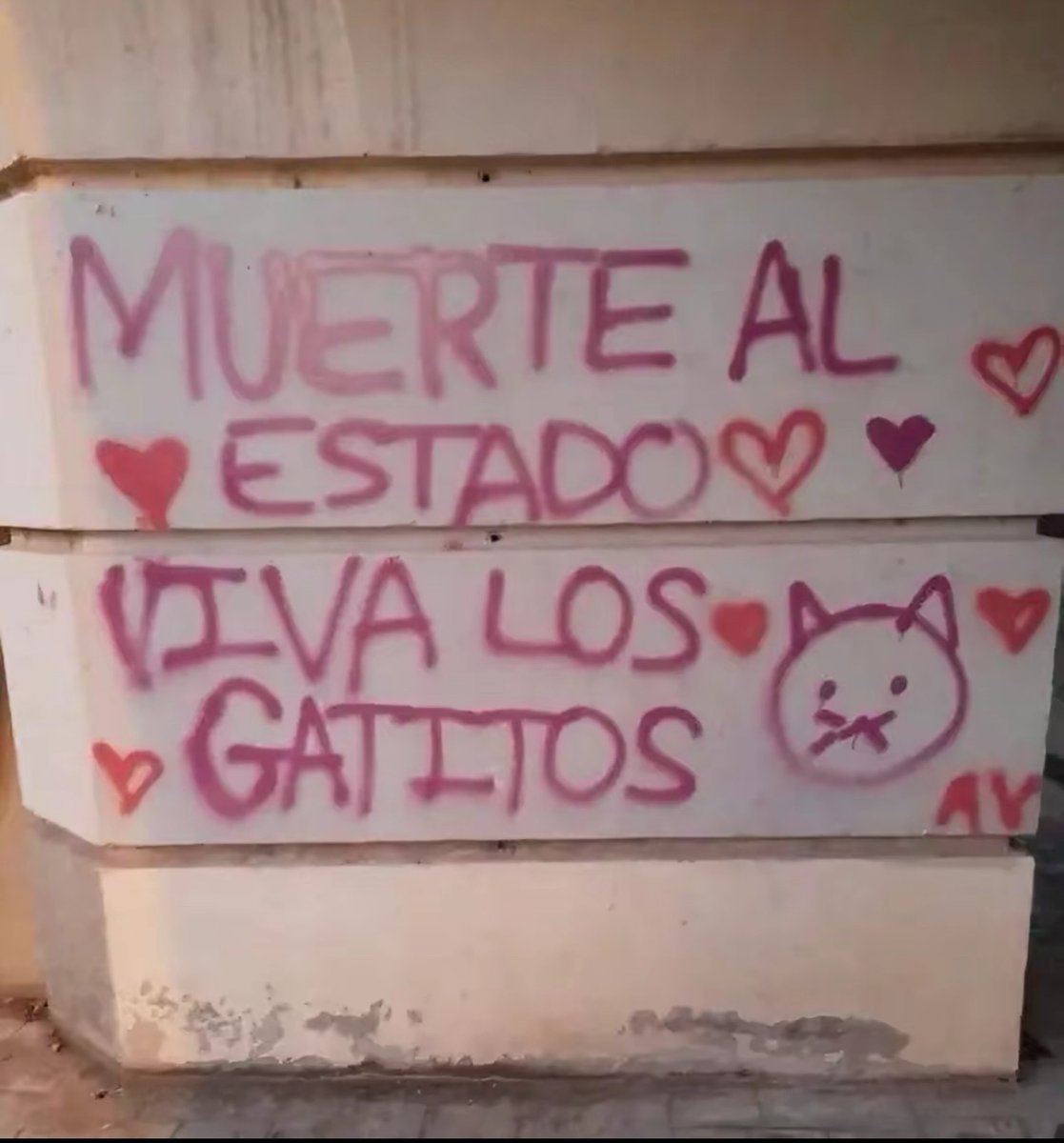 PunchingCat's tweet image. 