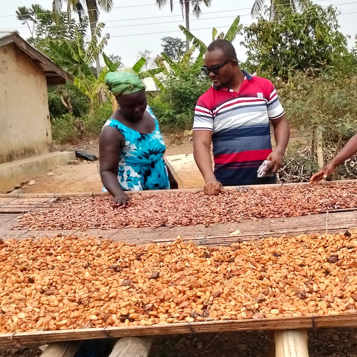 ANDREW ROLAND OBOSU tweet media