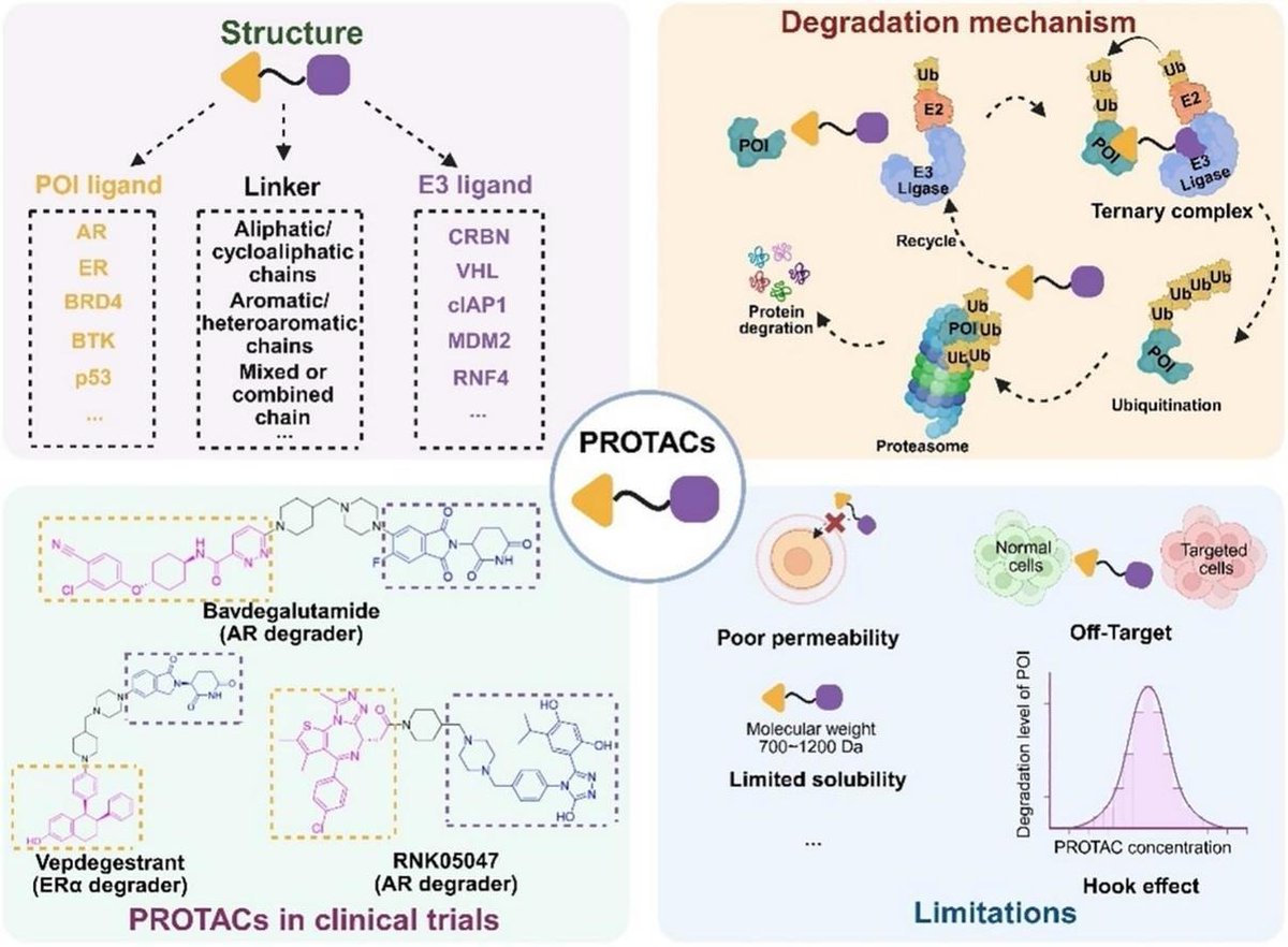 ADDReditors's tweet photo. ADDR 50 days' free access: Integrating PROTAC-based targeted protein degradation with nanodelivery systems to overcome cancer therapeutic resistance.
By Xiang Gao @SCUCN &amp; coworkers 
#nanodelivery #PROTAC #ProteinDegaradation 
https://t.co/xzPFXxfSAt https://t.co/ljkhP2SsUG