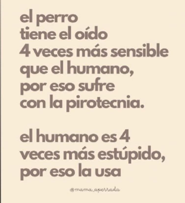 EL PERRO TIENE EL 
OÍDO 4 VECES MAS
SENCIBLE QUE EL 
HUMANO...por eso sufre con la pirotecnia.