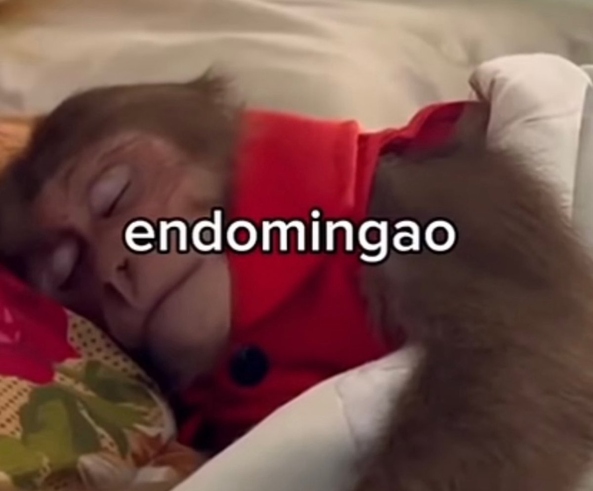conoloracigarro's tweet photo. https://t.co/yZITxg9Q6w