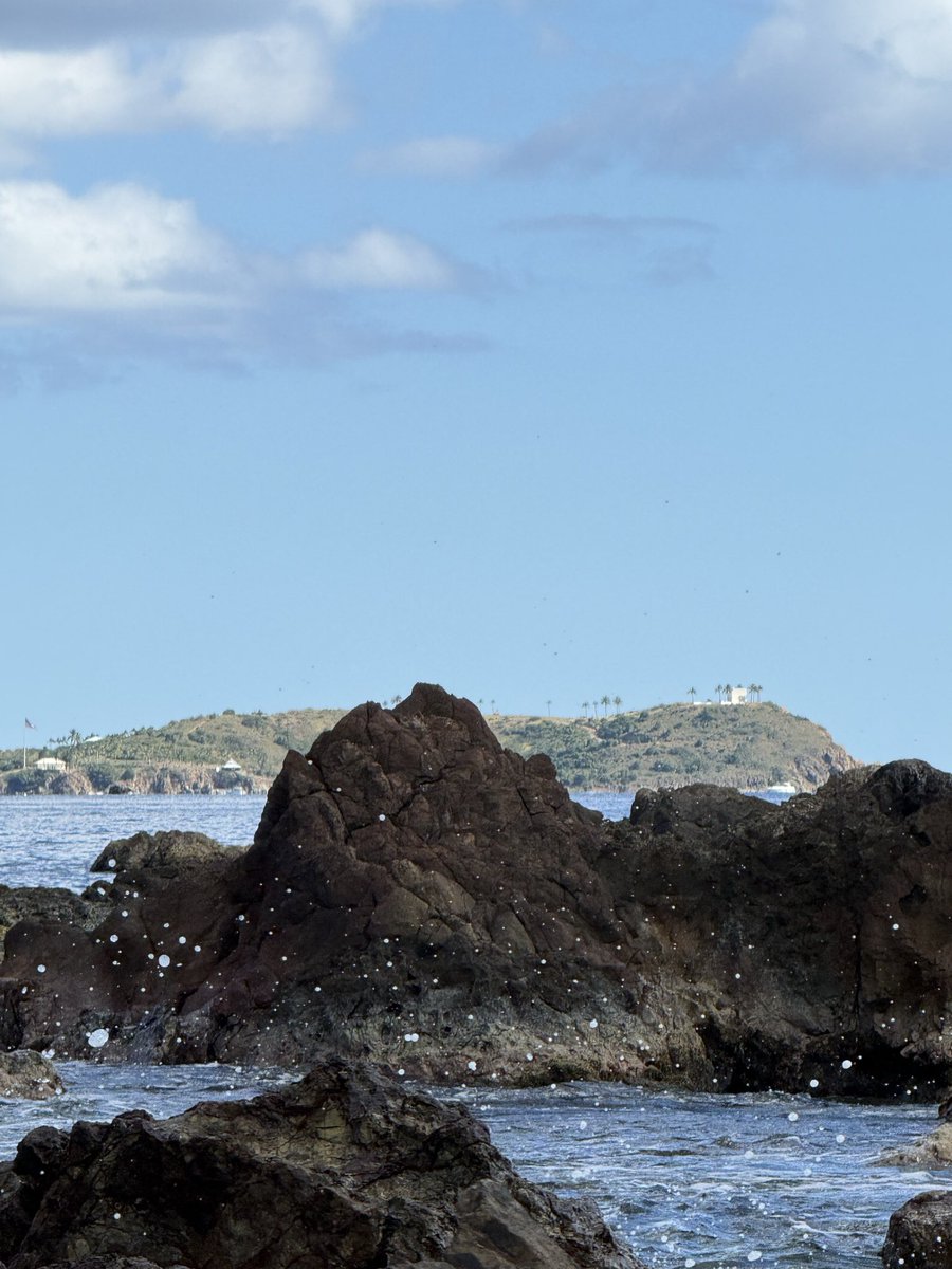 John Talapia tweet media