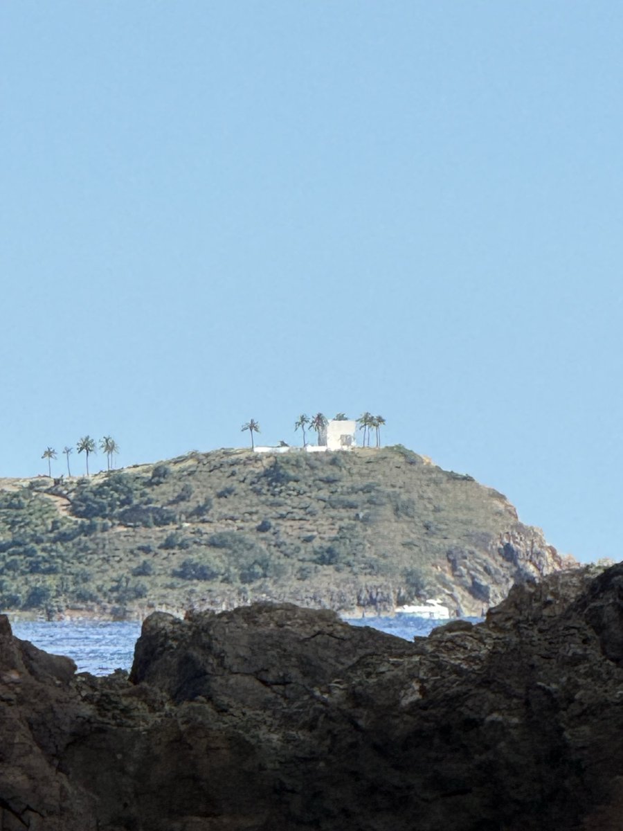 John Talapia tweet media