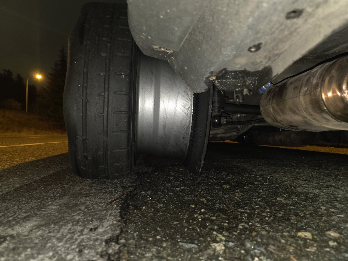 Lost🐾EF30 tweet media