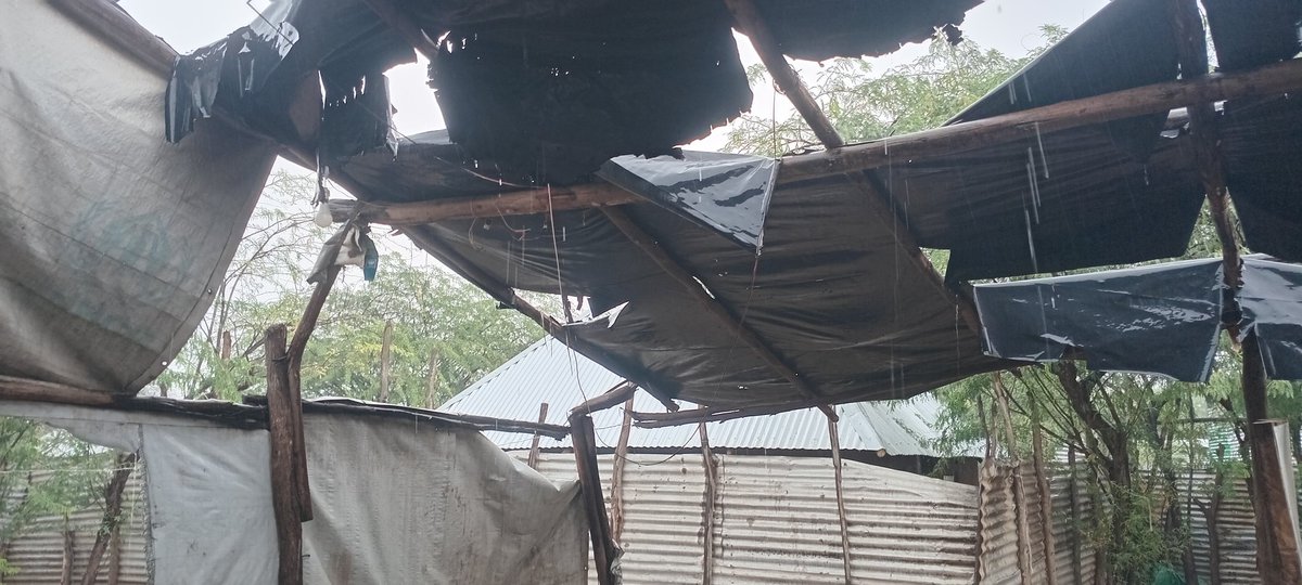 PsalmSamie's tweet photo. Hello friends, this is how bad the rains in kakuma Refugee Camp are ruining the poor lives we live here.
Our poor shelter, shade, kitchen, toilet are all broken down so bad. We need to repair or rebuild them ASAP. We need your help please 🙏. 
Thanks.
https://t.co/oeWW1ro9U9 https://t.co/J5DIDdKmnh
