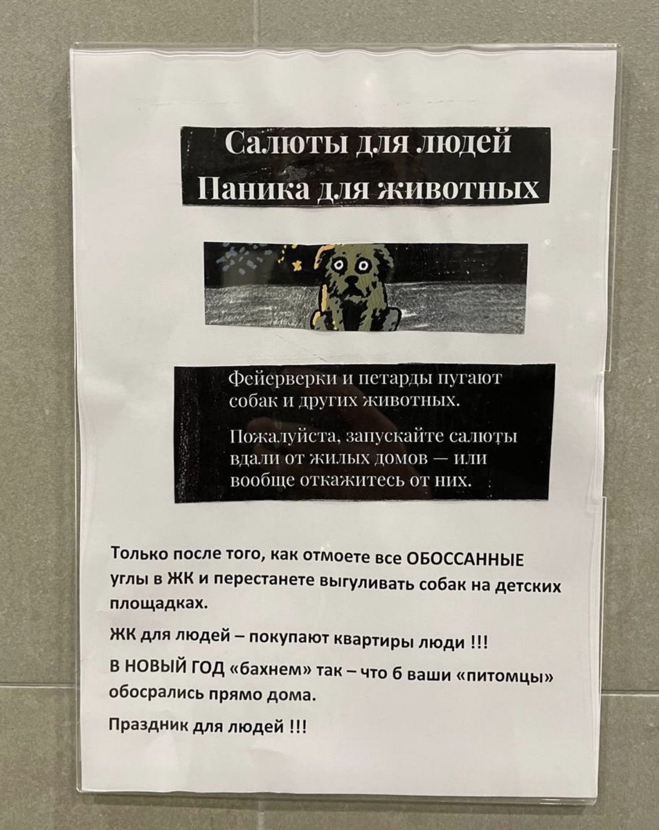 Друзья повесили в подъезде просьбу к соседям по поводу салютов в новогоднюю ночь от <a href="/50pets/">Barking News</a> и получили такую ответку. Представляете, кому-то не лень порезать изначальное объявление, распечатать свое и пригрозить «бахнуть так, чтобы ваши питомцы обосрались». Соседская доброта