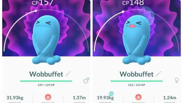 Jotacelo's tweet photo. Acabo de ver una pareja de pacos en moto, una de ellas paca, y era como ver dos Wobbuffet https://t.co/ckqhQ6J2Ev