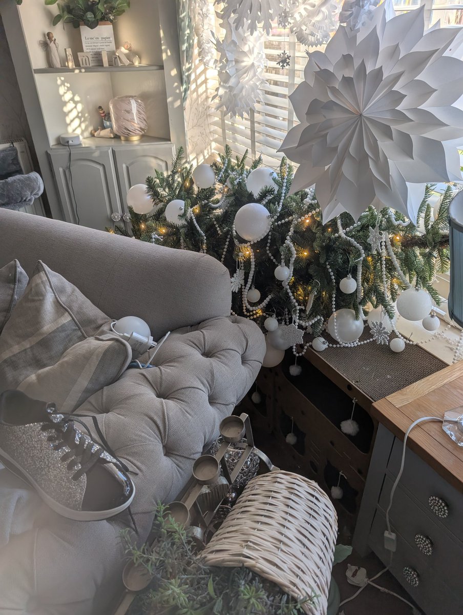 Slightly Dotty ♥️ tweet media