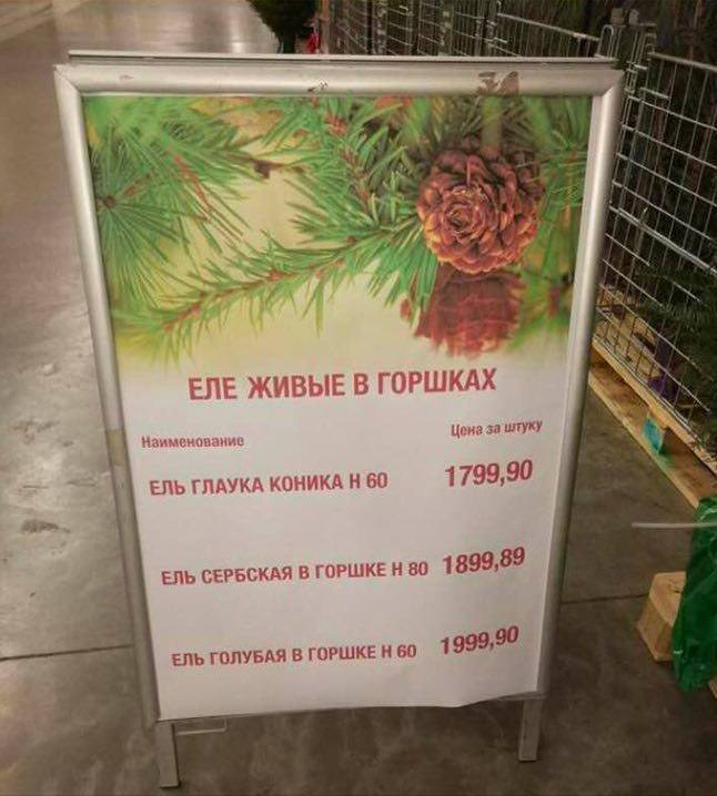 15rublei's tweet photo. Мы все в конце года https://t.co/JEs0DeVkJK