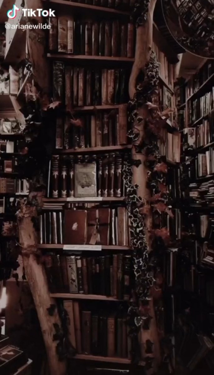 🦊➰gAbY 🧪🏒/ 📚: As almas da academia Blackwood tweet media