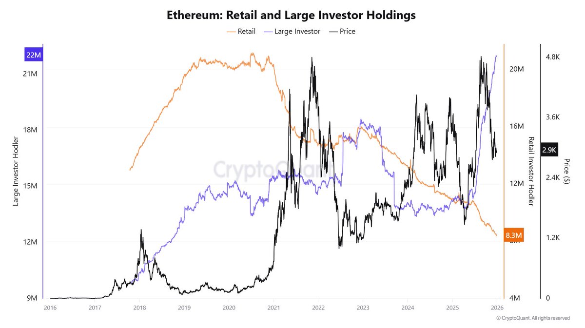 coinbureau's tweet image. ⚠️ONCHAIN ALERT: Ethereum whales are accumulating aggressively while retail trims exposure.