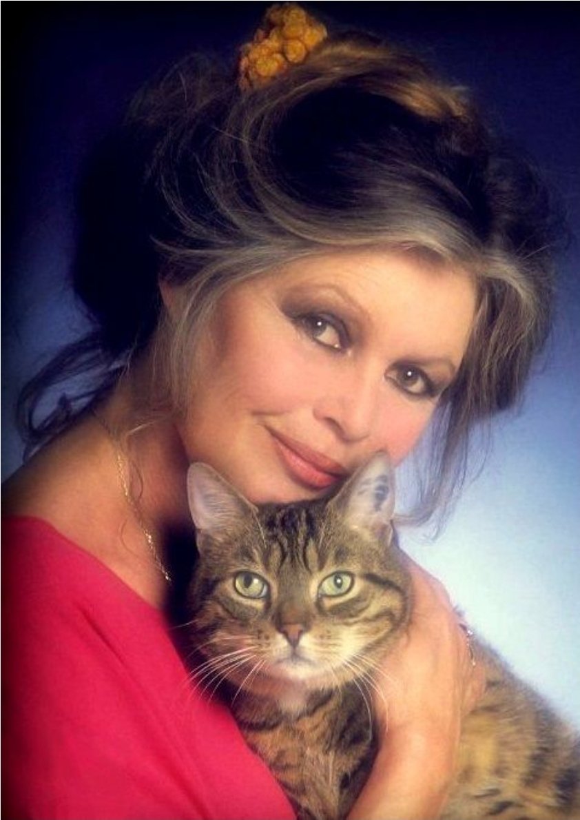 Brigitte Bardot…

Bir dönem dünyanın hayran olduğu bir yüzdü.
Sonra arkasını döndü, ışıkları kapattı ve sesi olmayanların yanına geçti.
Şöhreti bıraktı, vicdanı seçti.
Hayvanlar için yaşadı, hayvanlar için direndi.

Bazı insanlar ölmeden de miras bırakır.
Bardot da onlardan