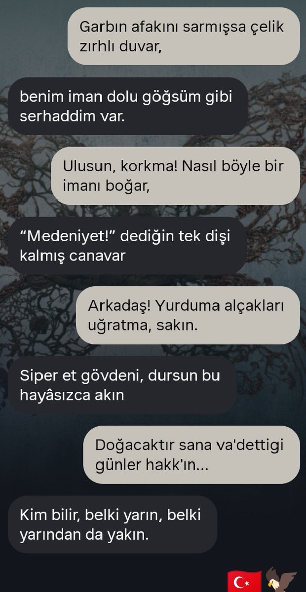 Garbın afakını sarmışsa çelik zırhlı duvar, 
Benim imam dolu göğsüm gibi serhaddim var. 
Ulusun, korkma! Nasıl böyle bir imnaı boğar, 
"Medeniyet!" dediğin tek dişi kalmış canavar.