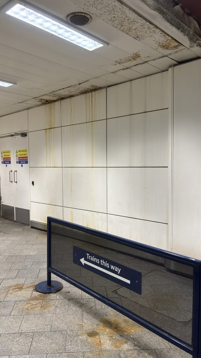 Ben Brittain tweet media