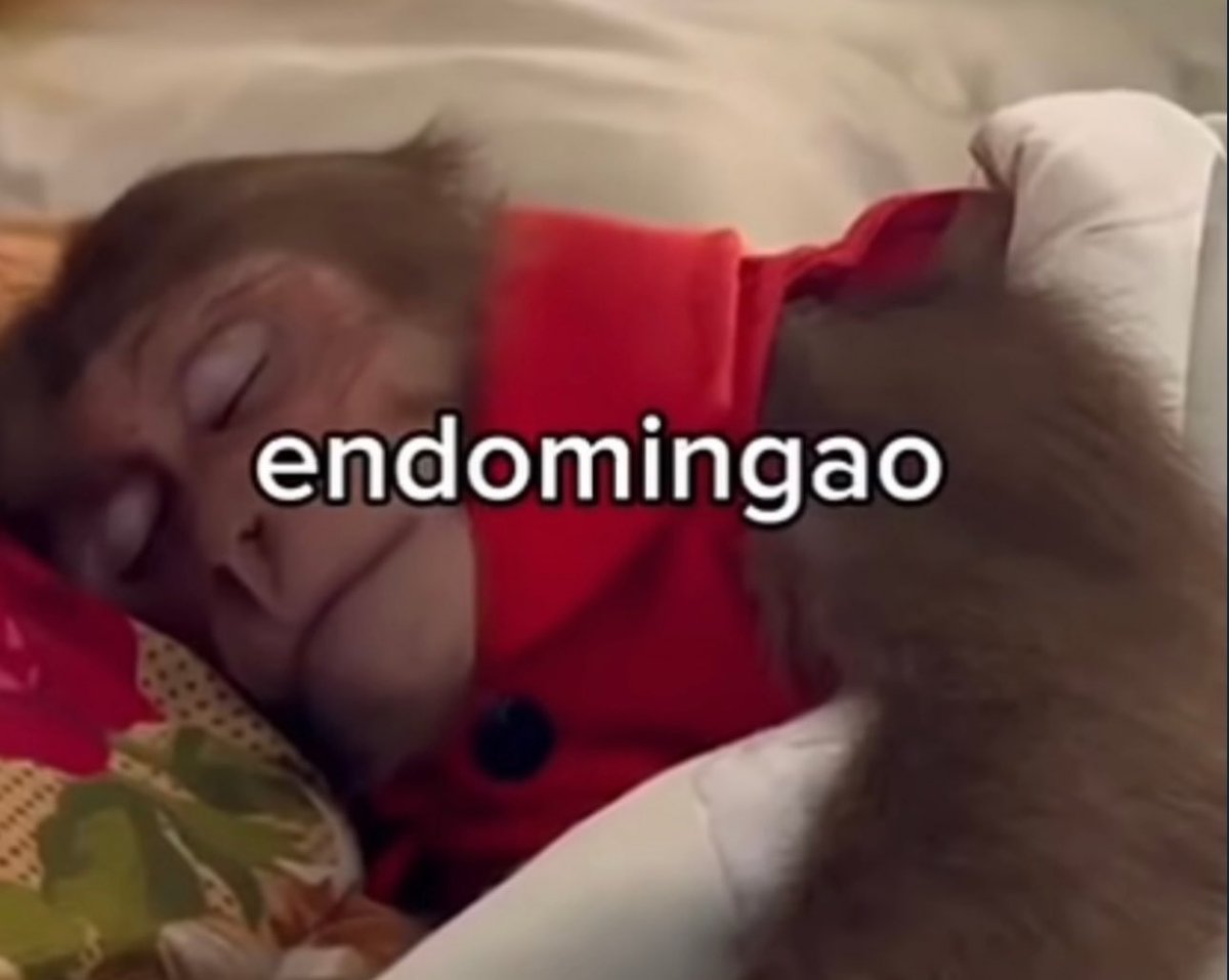 skereunpesado's tweet image. 