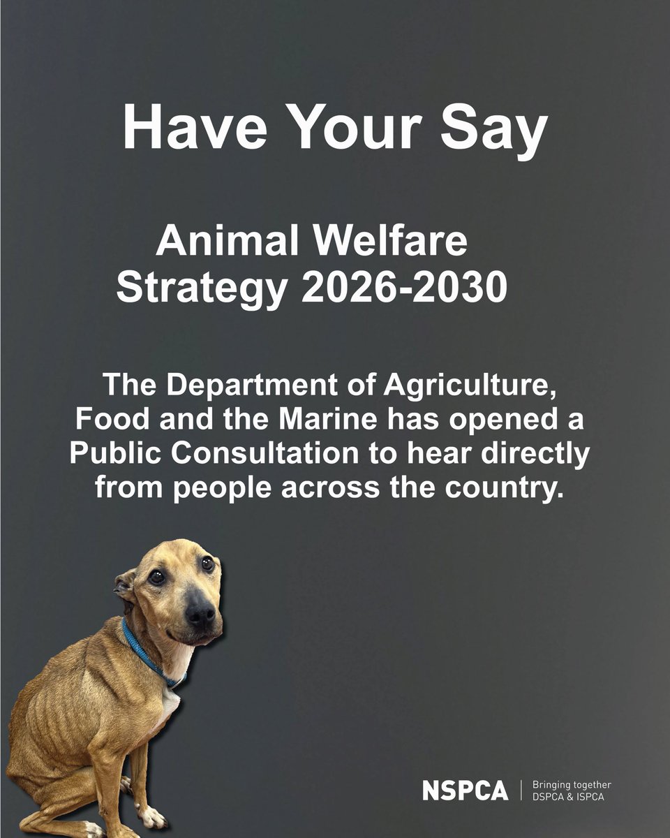 DublinSPCA's tweet photo. Your Voice Matters 🐾

Helpful information ➡️ 🔗 https://t.co/hG7i20CHIp

Email your say ➡️ animalwelfareconsultation@agriculture.gov.ie

⚠️ Closing Date: Friday 2nd January 2026 at 5pm.

#animalwelfare #animals https://t.co/xHr5RUh1AN