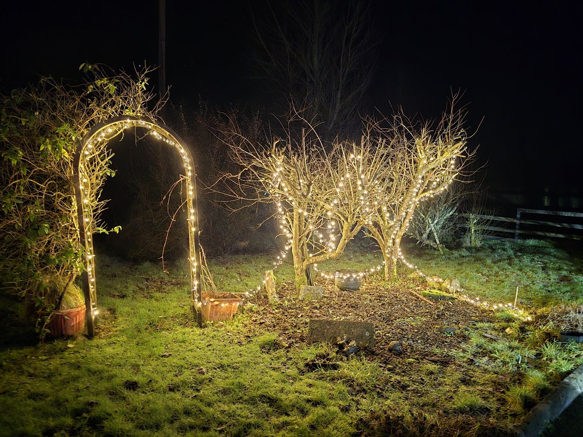 Sam O'Neill tweet media