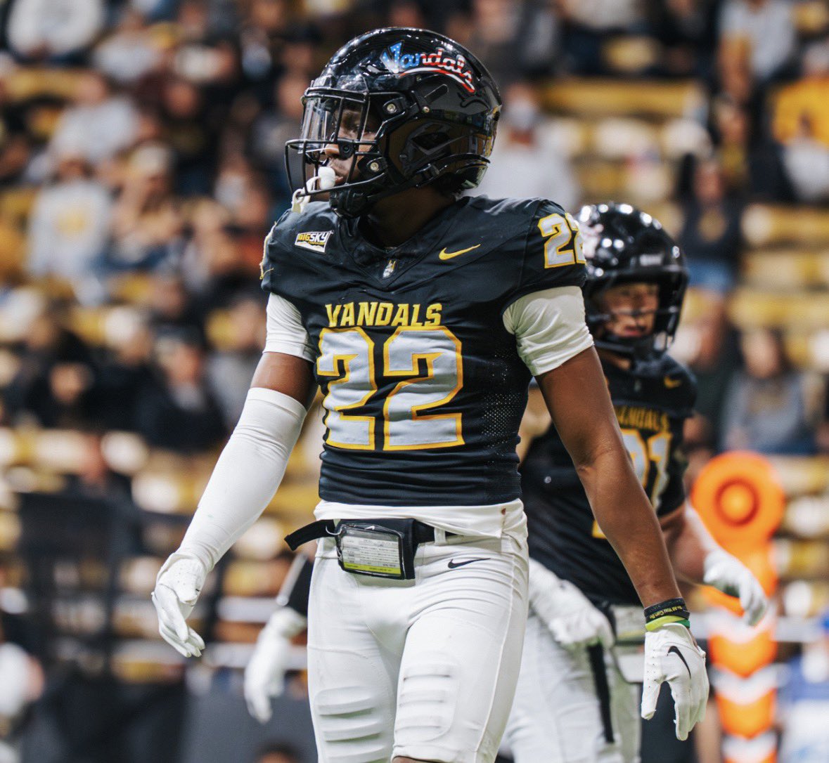 Cam Mellor tweet media