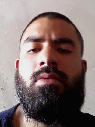 TYFYS1's tweet photo. Testosterone level: higher than your whole family combined. Accept his culture with absolute, unfaltering respect and submission. https://t.co/umwg7Znopn