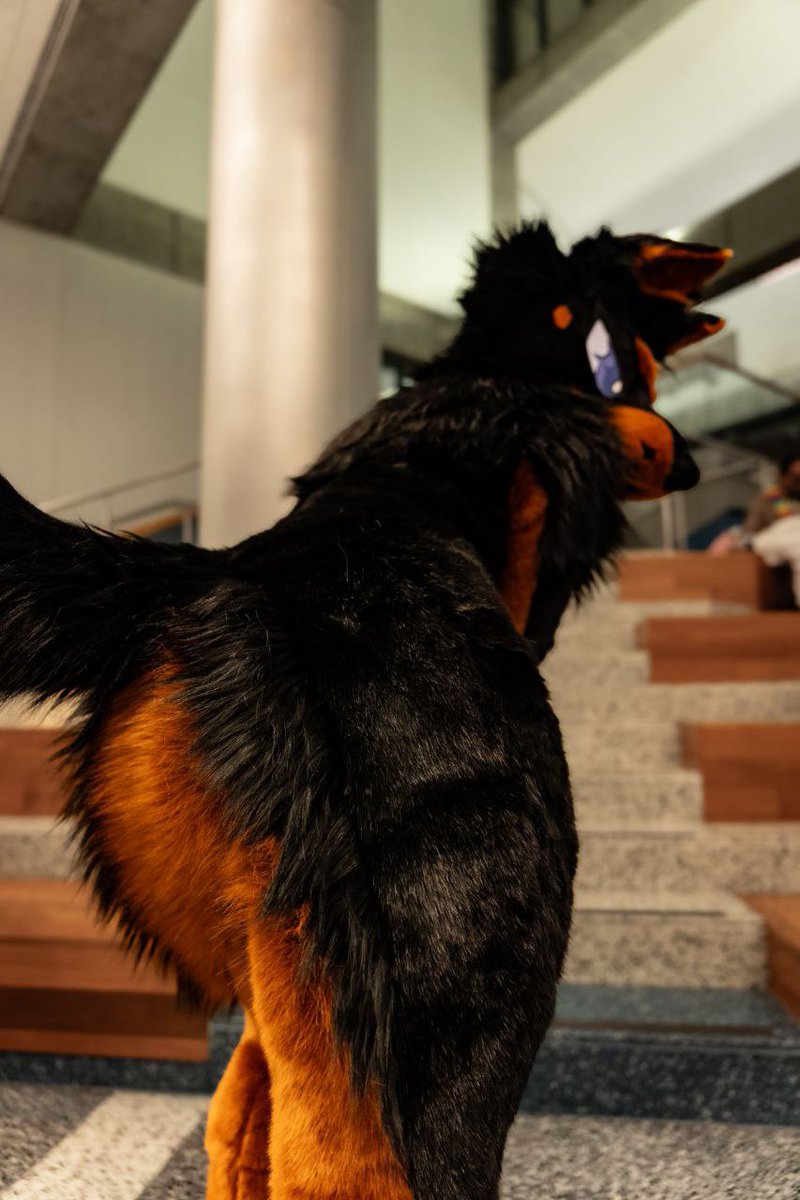 taliruq_'s tweet image. alright