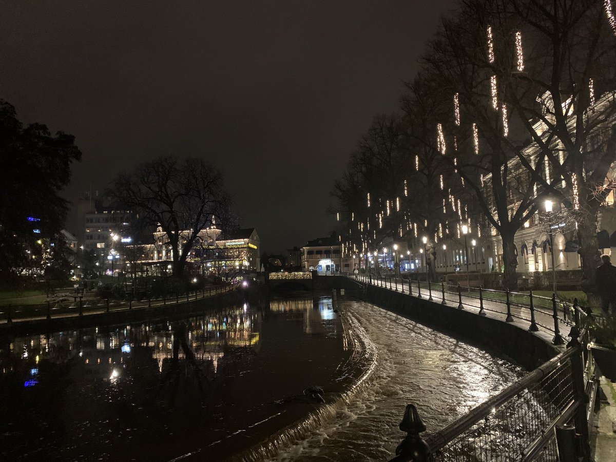 علينا استجواب الذين ينامون باكراً ويستيقظون باكراً  
لا شك انهم دسوا حصصهم من الأرق خلسة في جيوب ليالينا 

عبد الله الاحيمر