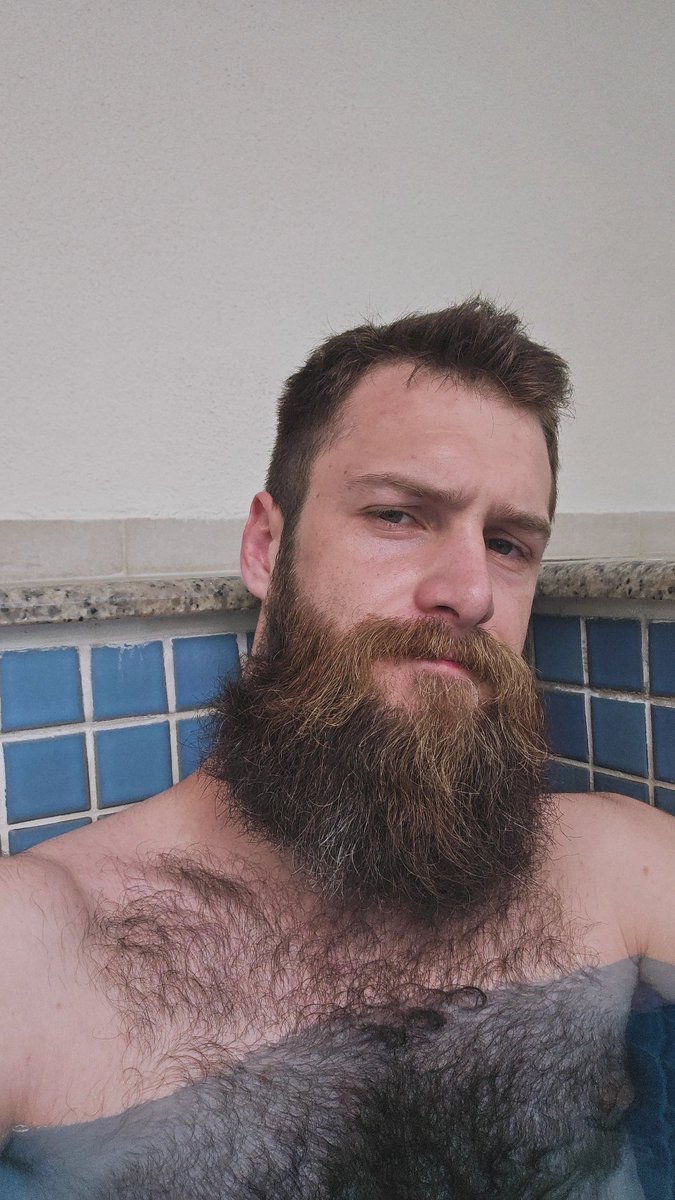 My OnlyCats tweet media